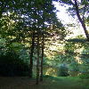 Windsor, MA