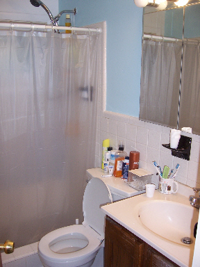 Bathroom Before