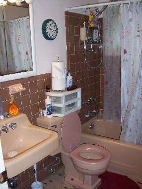 Bathroom Before