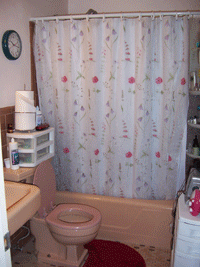 Renovated Bathroom